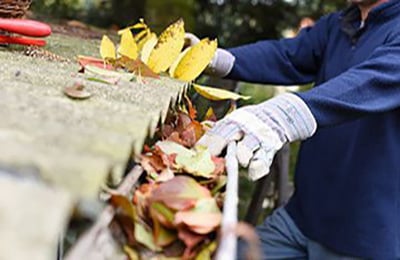 WP Handyman